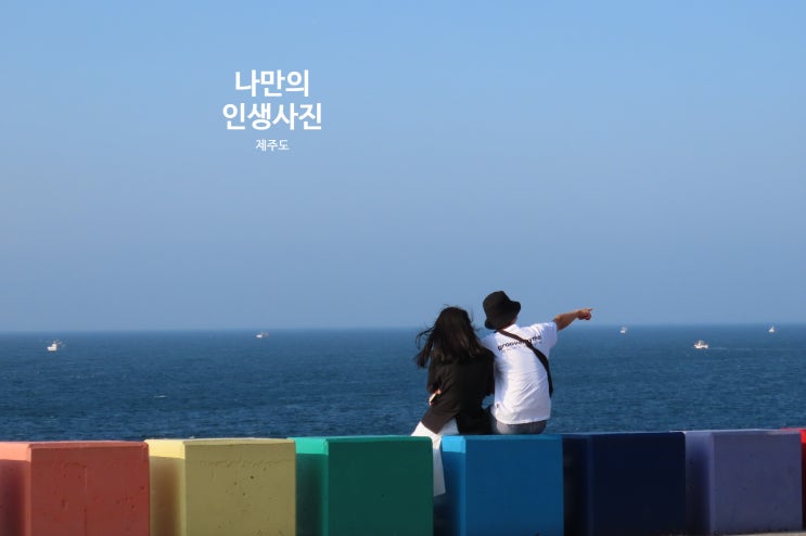  요즘 인생샷이 기대되는곳... 무지개해안도로,버베나꽃길