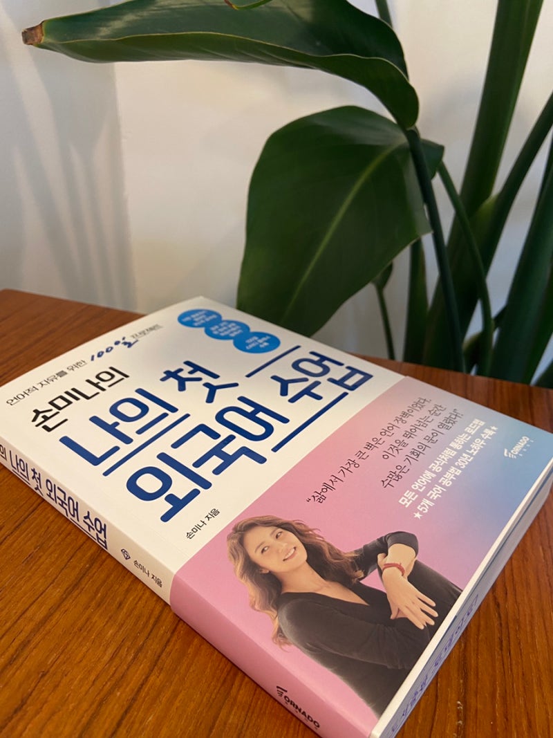 손미나 책 : 동기부여가 필요한 모든 분들을 위해