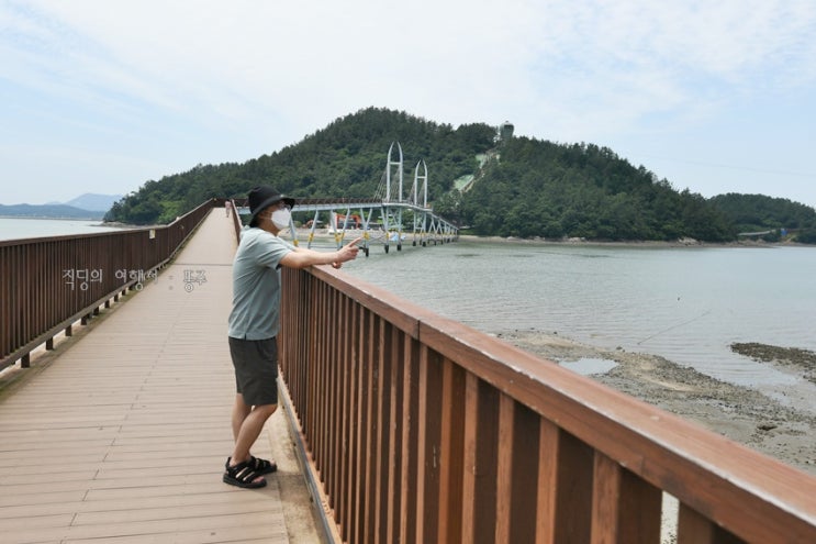  강진 가우도 출렁다리 걷고 제트보트, 청자타워,짚라인 구경하기!