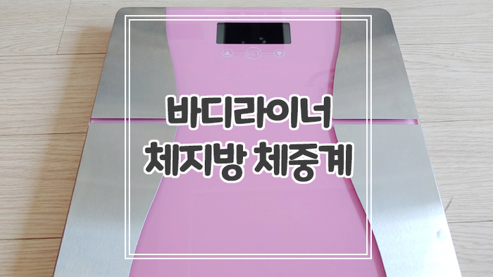  바디라이너 체지방 체중계로 집에서 간편하게 인바디 측정하기