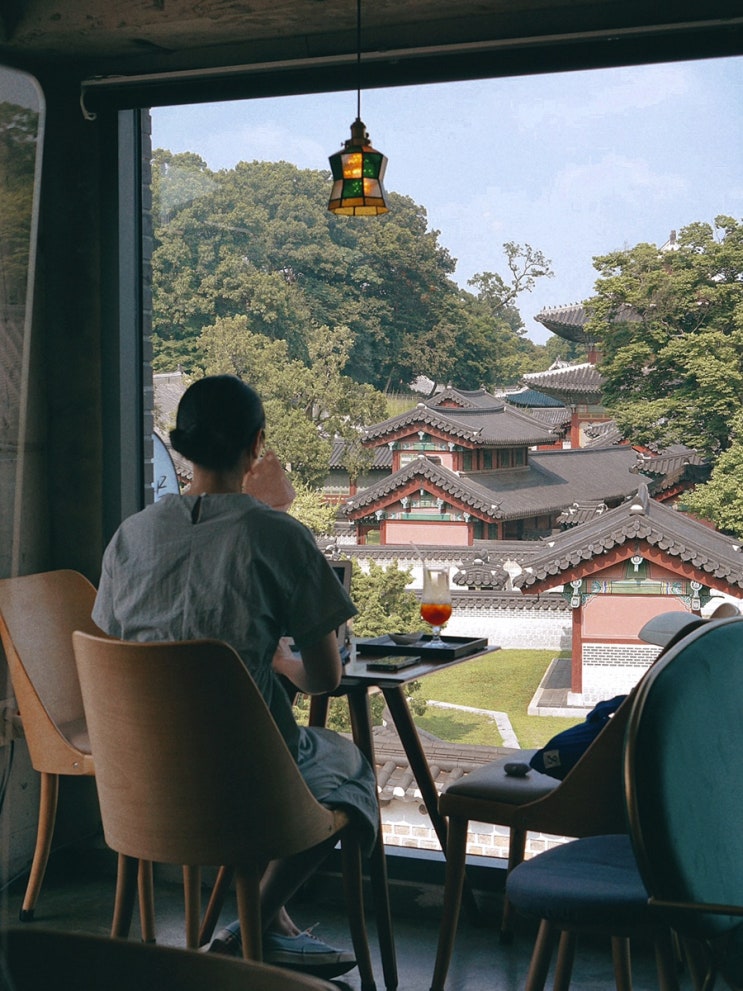  창덕궁 뷰 안국역카페; 회화나무