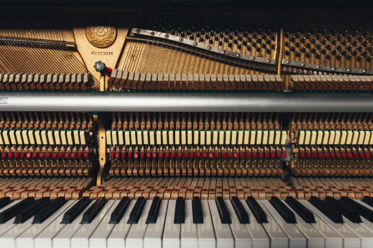 피아노조율기능사 Craftsman Piano Tuner 피아노조율기능사 Craftsman Piano Tuner