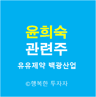 윤희숙 관련주 - 대선후보 관련주 - 대선 테마주 - 정치 테마주 - 윤희숙 테마주