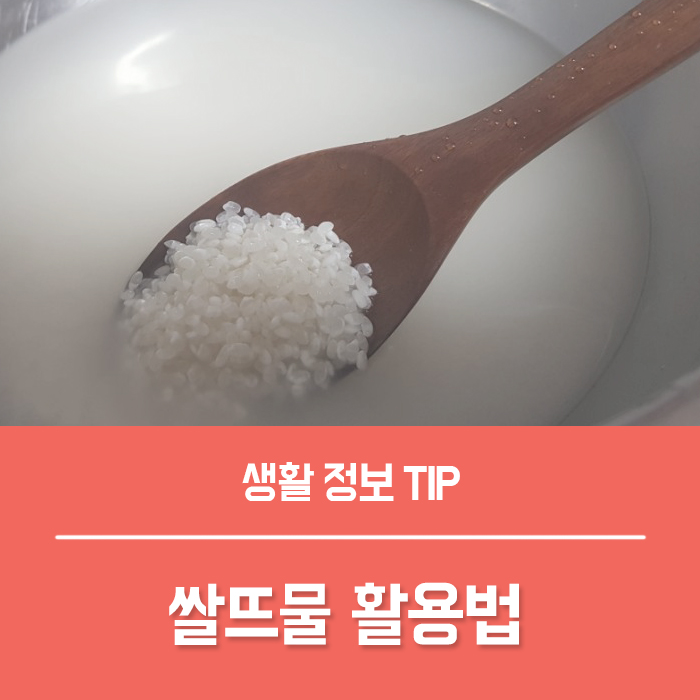 쌀뜨물 세안 집안 화분 영양제 활용법