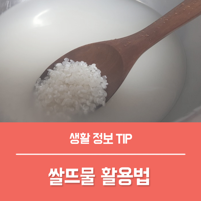  쌀뜨물 세안 집안 화분 영양제 활용법