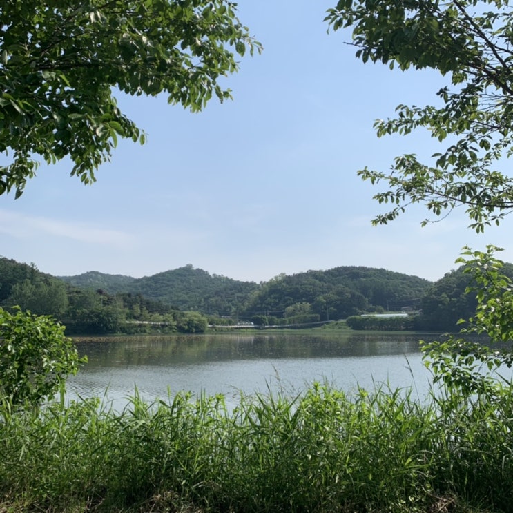  [팔당물안개공원] 자전거 타기 딱 좋은 곳, 경기도 광주 공원 추천