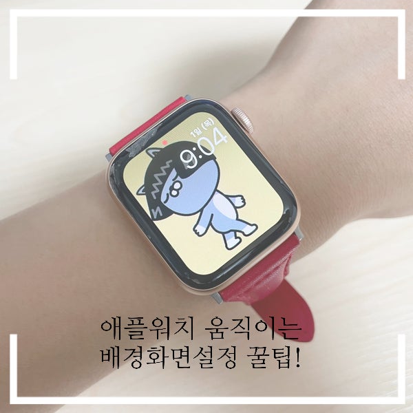 애플워치 움직이는 배경화면 페이스 시계 오류 없이 설정 꿀팁