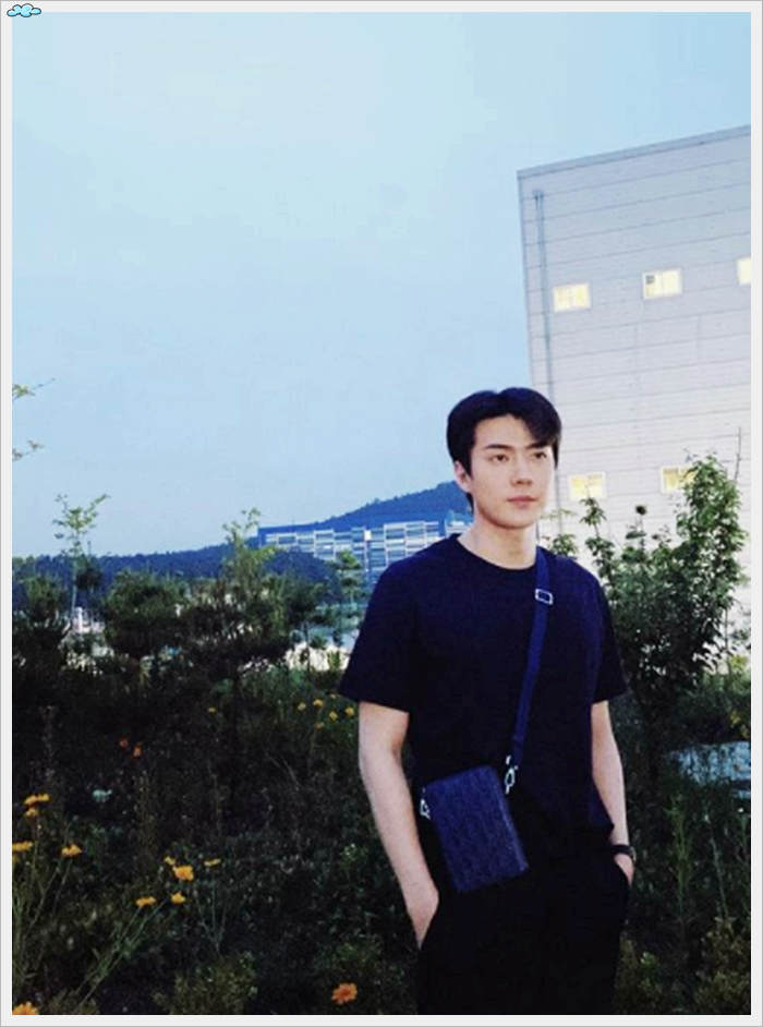EXO Sehun's MBTI Type and Personality Insights