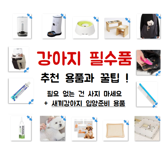 강아지 필수품, 입양준비물 강아지용품 체크리스트로 필요한 것만 사세요~ 새끼강아지용품