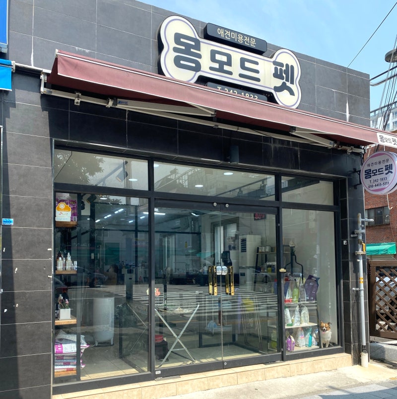사진 6