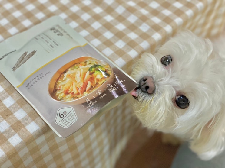  [닥터독 황태탕]강아지 보양식 :: 더운날 입맛없는 강아지에게 영양식으로 최고야!