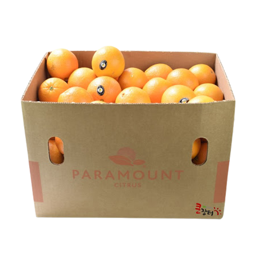 의외로 인기있는 고당도 블랙라벨 오렌지 대과 3kg 4kg 1박스, 블랙라벨 오렌지 2.6kg 중소과(15과) 좋아요 의외로 인기있는 고당도 블랙라벨 오렌지 대과 3kg 4kg 1박스, 블랙라벨 오렌지 2.6kg 중소과(15과) 좋아요