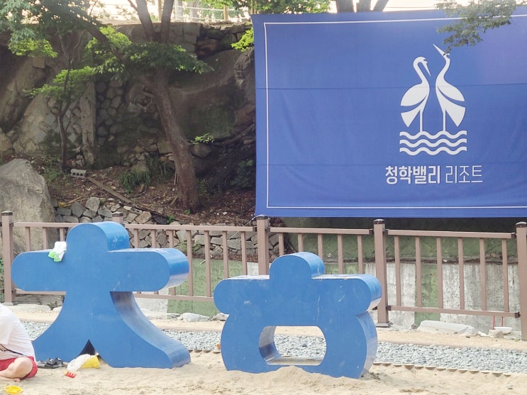  청학밸리리조트의 반가운 재개장 소식!