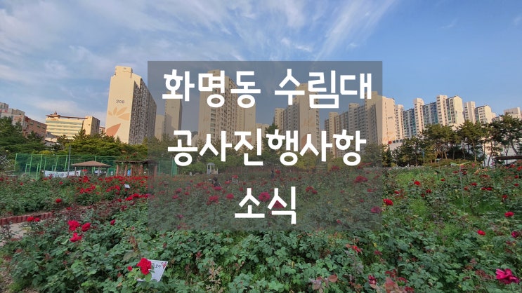 부산 북구 화명동 수림대(조명 특화 거리) 공사 진행 사항 소식