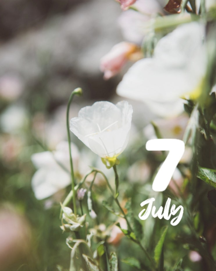  Hello July