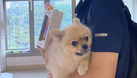  아빠 핸드폰 갤럭시A32로 바꿔드렸다.. 나 나름 효녀일지도,,