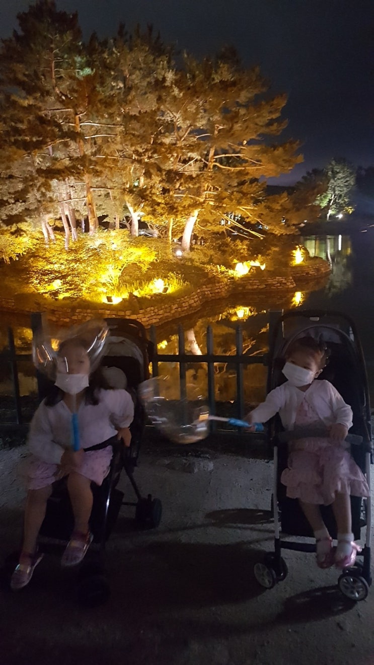  경주 동궁과월지 :) 아이와 가볼만한곳 야경명소 안압지 유아 무료