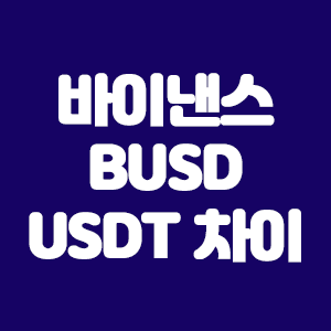 바이낸스 BUSD와 USDT의 차이