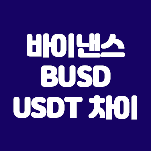  바이낸스 BUSD와 USDT의 차이