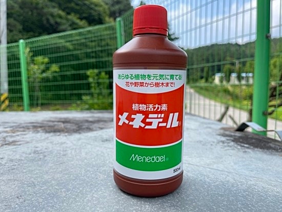 メネデール 일본 식물 발근제 메네델 드디어 사용해 보다