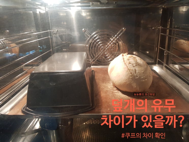 [빵실험실] 스팀없이 덮개 씌워 구운 쿠프의 차이 (지에라화이트멀티)