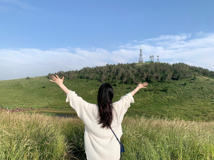 취향 따라 떠나는 제주도 여행, 트립소다 제주도 투어 정식 론칭!