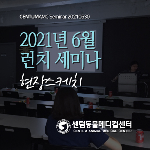  2021년 6월 수의사 런치 세미나 현장스케치 (수영 센텀동물메디컬센터)