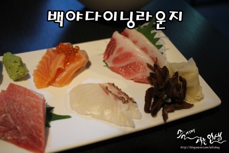  [정자역 이자카야] 정자역 분위기 좋은술집 백야다이닝라운지
