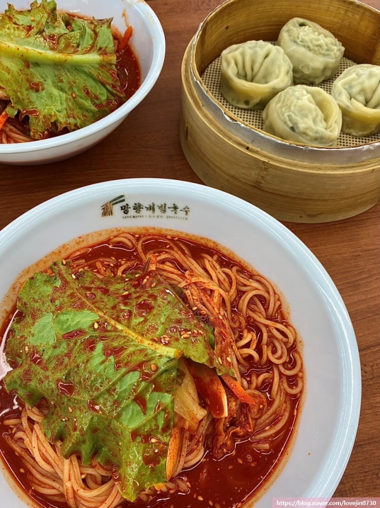 망향비빔국수 본점! 강철비에서 정우성이 먹은 비빔국수! 경기도 연천 맛집