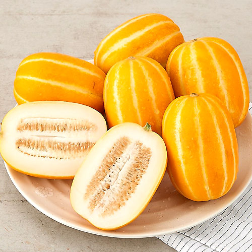 핵가성비 좋은 성주참외10kg 고당도 꿀 참외 프리미엄 농협참외 로얄과 한입꼬마참외 참외풍경 소과 중과 대과 가정용 못난이 하우스 여름 달콤함 시원한, 성주참외 (알뜰 혼합)크기랜 핵가성비 좋은 성주참외10kg 고당도 꿀 참외 프리미엄 농협참외 로얄과 한입꼬마참외 참외풍경 소과 중과 대과 가정용 못난이 하우스 여름 달콤함 시원한, 성주참외 (알뜰 혼합)크기랜