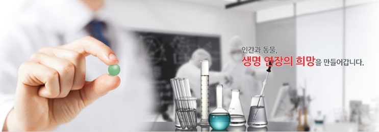 코미팜 상한가, 미국에서 인정받았다 '초대박' 코미팜 상한가, 미국에서 인정받았다 '초대박'