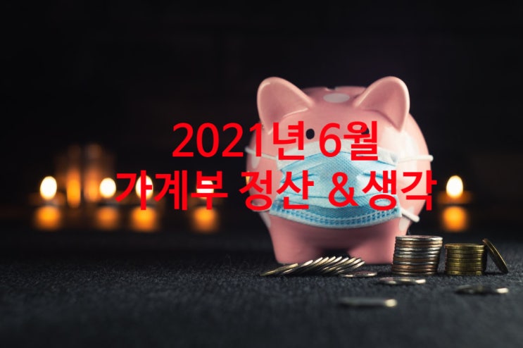  2021년 6월 가계부 정산 및 생각