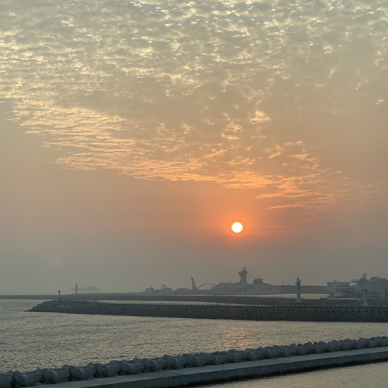  제주 7,8일차 이마트. 산책. 늘소담. 장염