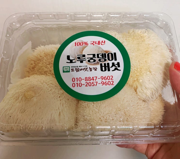  무농약으로 키우는 드림 농장 노루궁뎅이버섯
