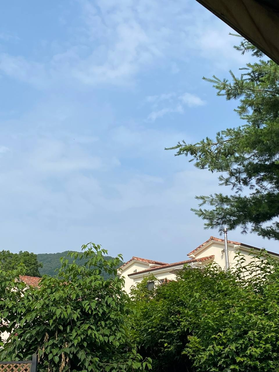 라임휴후리지아펜션 사진 1