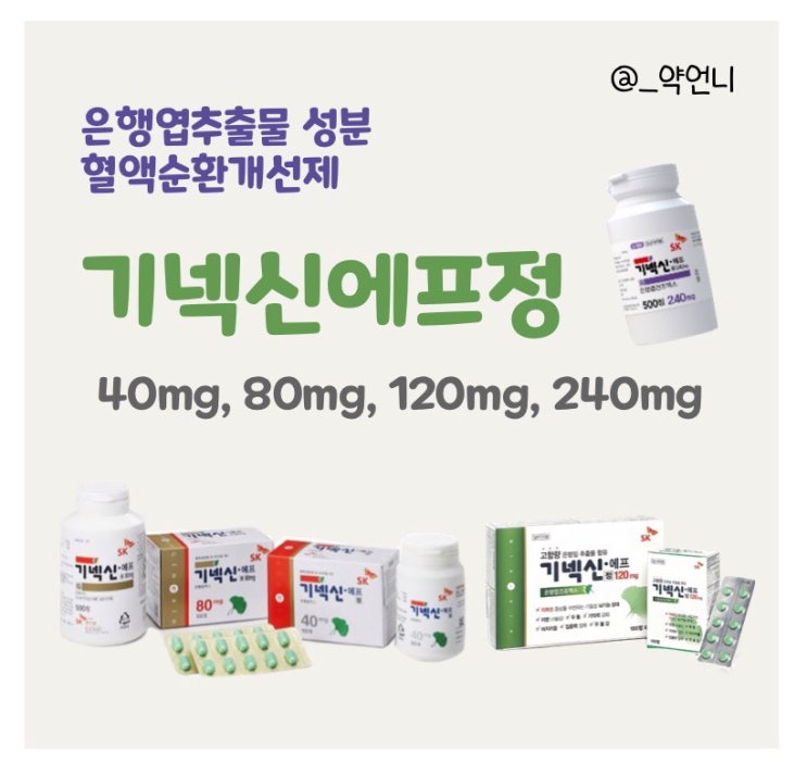  기넥신에프정 40mg, 80mg, 120mg, 240mg - 은행엽 추출물 효능, 기전 및 주의사항?
