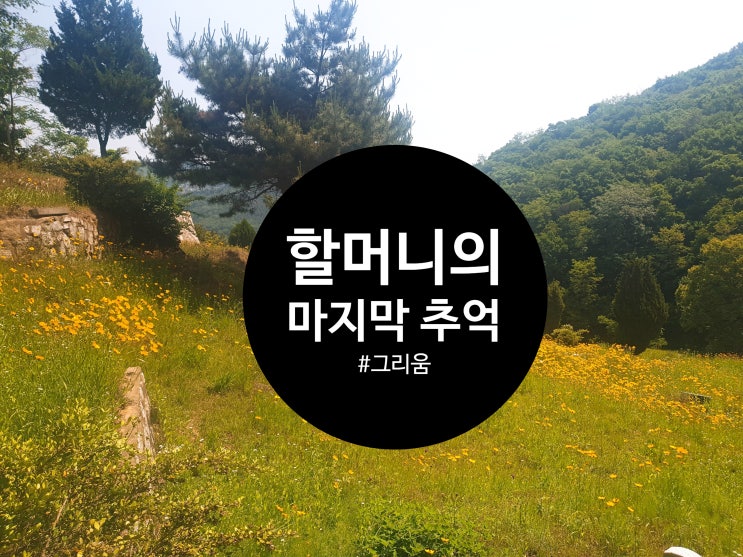  어느 할머니의 마지막과 추억