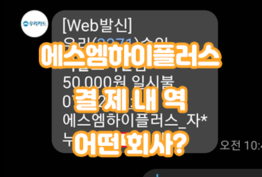 에스엠하이플러스 일시불 카드 결제 승인 어디? 무엇?
