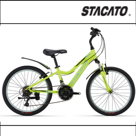 인기있는 스타카토 2020 스펙터 221 22인치 21단 주니어 MTB 자전거, 라 임(80%조립배송) 추천해요