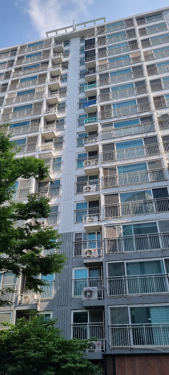  아파트비둘기 이웃에게 피해없이