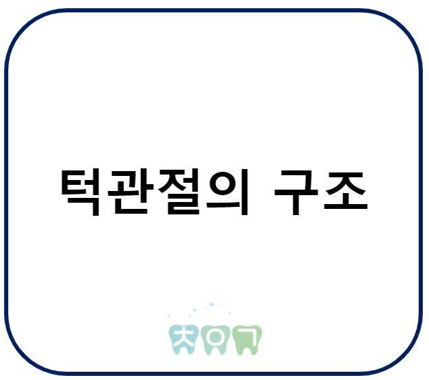  턱관절의 구조 및 턱관절장애의 기여요인
