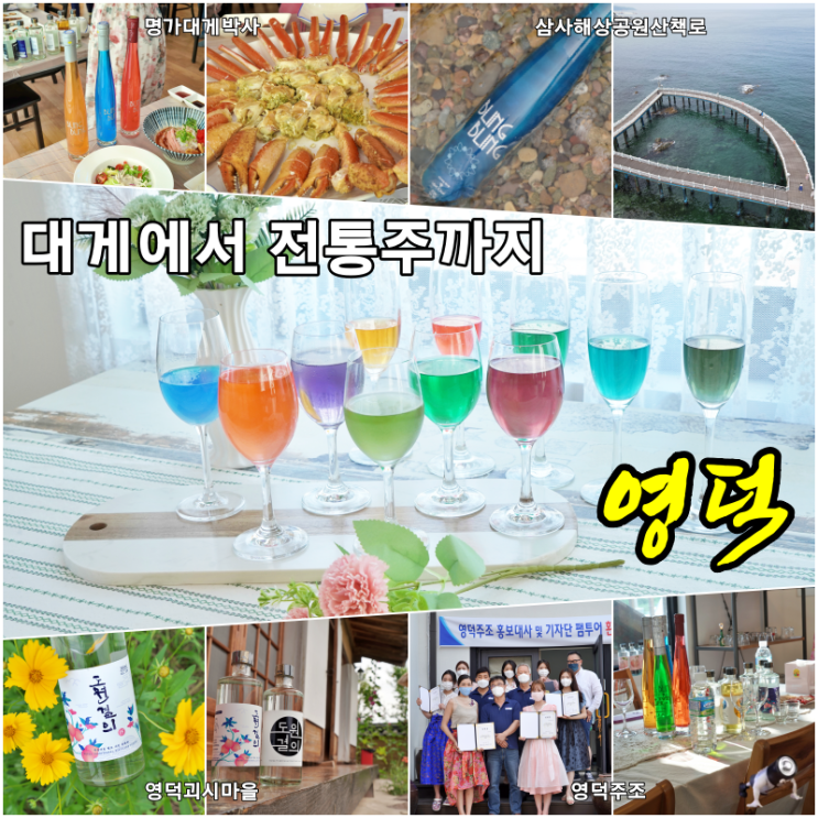  경북 영덕 여행 명가 대게박사에서 대게먹고 영덕주조에서 만든 전통주까지