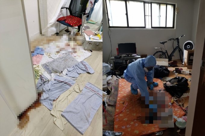 대출 독촉장 속 외롭게 죽어간 청년…유족은 "이미 버린 자식" 대출 독촉장 속 외롭게 죽어간 청년…유족은 "이미 버린 자식"
