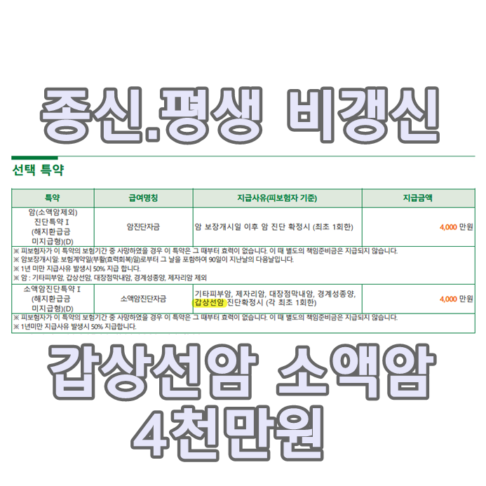  갑상선암보험은 DB생명 백년친구 내가고른건강보험2104