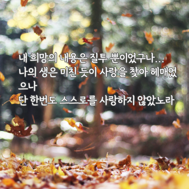  천재 시인 기형도, 질투는 나의 힘, 사랑을 잃고 나는 쓰네(빈집)