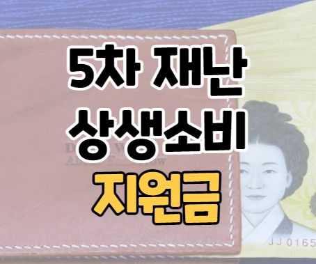  5차 재난지원금 캐시백 상생소비지원금 신용카드 사용법