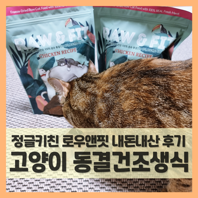  고양이 생식, 동결건조사료 형태로 나왔다고? (f. 정글키친 로우앤핏 내돈내산)