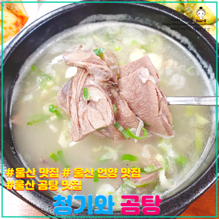  진한국물맛이 일품이였던 울산 언양 맛집 청기와곰탕