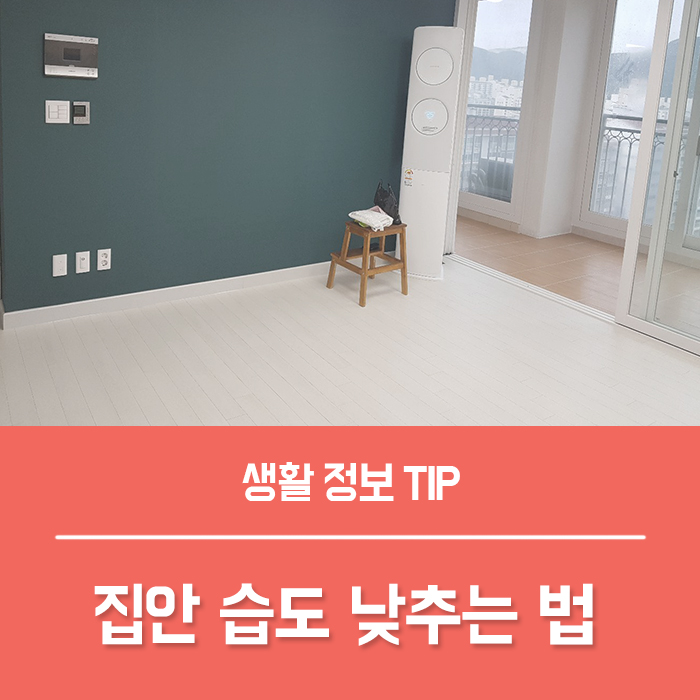  습도 낮추는 법 천연 제습제를 활용해보세요