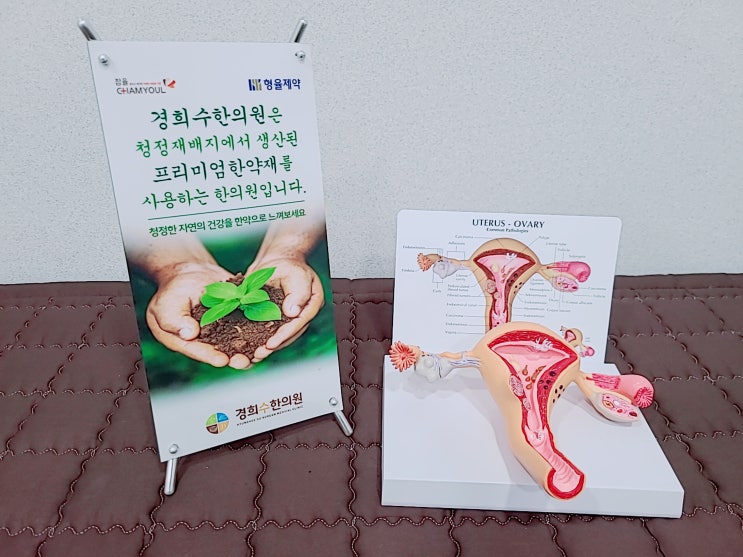  수원 월경통 한의원, 원인부터 파악해야 합니다
